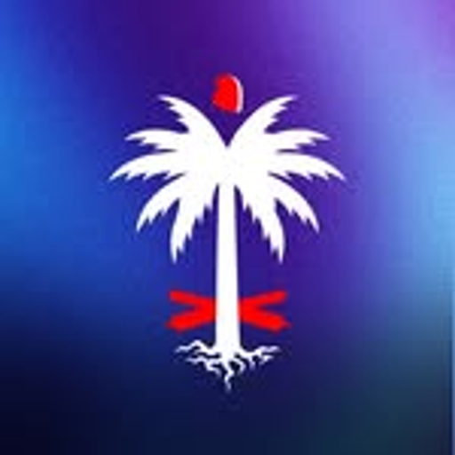 Faces of Haiti logo